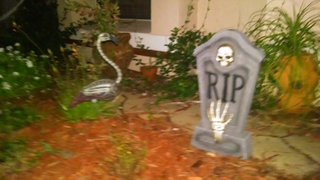 Illustration for article titled Remember those Flamingos that got turned into dessicated statues by an alkaline lake in Africa?